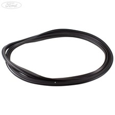 Original Ford C-Max Heckklappe